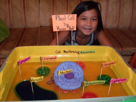 Kasen and her science project
